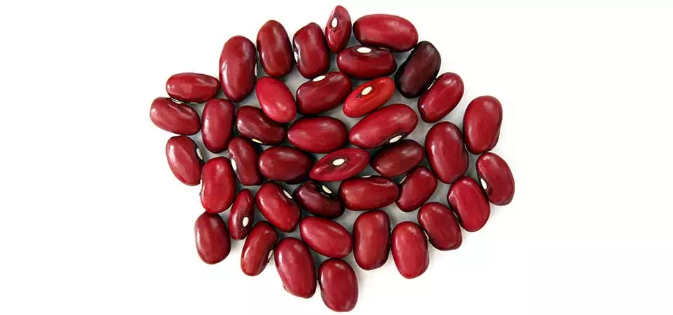 Small Red Bean Suppliers