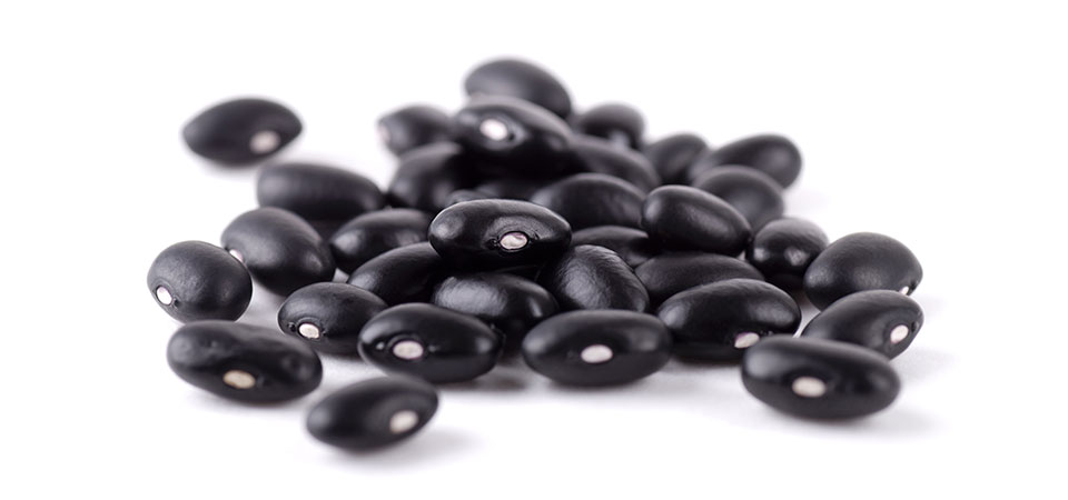 Michigan black beans 
