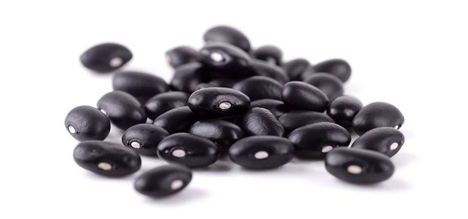 Black Bean Suppliers in the USA