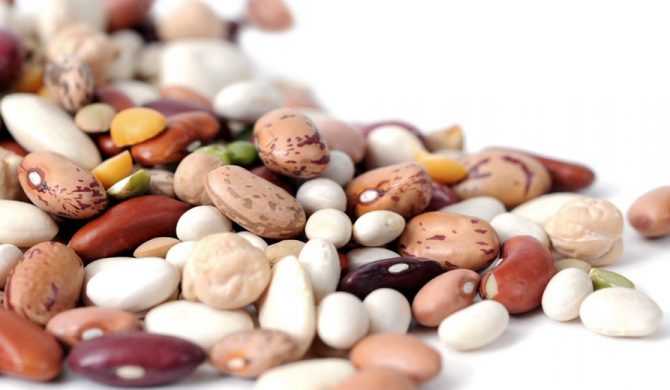 2022 Dry Edible Bean Crop Progress